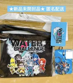 【新品未開封品】ウォーターチャレンジ　巾着 アクリルチャーム すまない先生