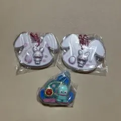 サンリオ　パッケージチャーム　ハンギョドン　ウィッシュミーメル