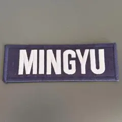 2025年最新】seventeen ミンギュ ワッペンの人気アイテム - メルカリ