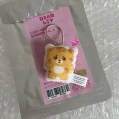 DEARLIT LUCKY DRAW CHEETIE ユナ ILLIT