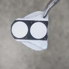 Item thumbnail for item 8fc6a9a0-10e4-419d-8c34-1d165efd2f18