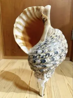 Item thumbnail for item 30641437-7d26-4e7f-9a9b-83a53677cd47