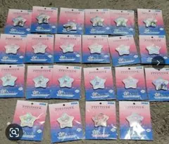 フラガリアメモリーズ缶バッジ22個セット