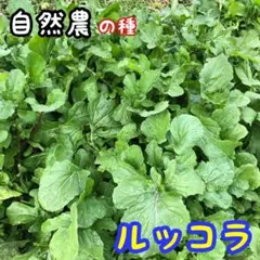 Kumiko 33様 リクエスト 3点 まとめ商品