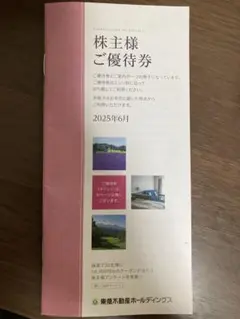 東急不動産ホールディングス 株主優待券（100株用） 2025年6月発行分
