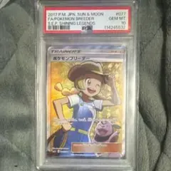 2025年最新】ポケモンブリーダー sr psa10の人気アイテム - メルカリ