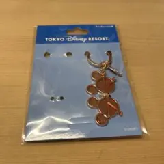東京ディズニーリゾート キーチェーン