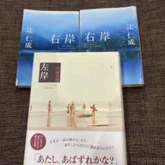 左岸・右岸 上下巻 セット 辻仁成 江國香織
