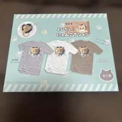 とびだし！にゃんこTシャツ 男女兼用 フリーサイズ　茶トラ　猫　ネコ　猫好き
