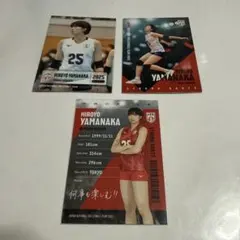 野本梨佳 トレカ 火の鳥 NIPPON 全日本女子 バレーボール 直筆サイン