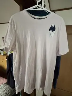 THE NORTH FACE シロクマ プリント 限定Tシャツ