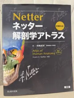ネッター 解剖学アトラス