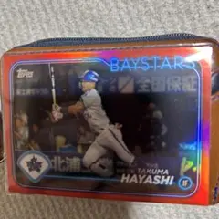 Item thumbnail for item 430b115b-6f4f-47eb-991b-92f003647998