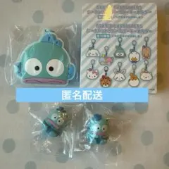 サンリオ ミラーキーホルダー ケーブルアクセサリー ハンギョドン