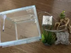 2025年最新】アクアリウム 引退の人気アイテム - メルカリ