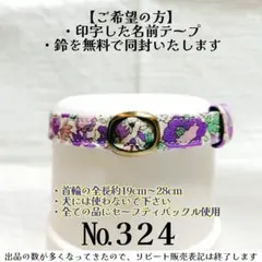 Item thumbnail for item 855107b3-c23c-40f1-bbea-8e57e1e9aaec