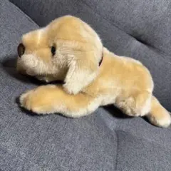 ゴールデンレトリバー　ぬいぐるみ　/ トイザらス　Animal Alley　犬のサムネイル