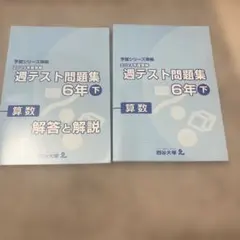 2026年最新】四谷大塚週テスト6年の人気アイテム - メルカリ