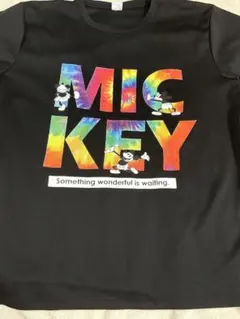 DisneyミッキーマウスTシャツ　LLサイズ