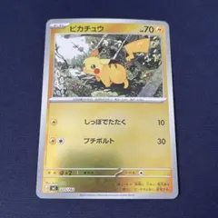 ピカチュウ 225/742 ミラー　スタートデッキ100