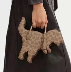 未使用✨コーチ 2way レザー ハンドバッグ ショルダーバッグ レキシー 
