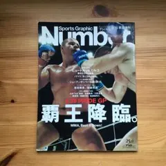 貴重✴︎ Number ￼ヒョードルvsミルコ/コレクター　総合格闘技￼