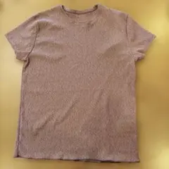 スタニングルアー　ヌーディドライハーフTシャツ　ピンクのサムネイル