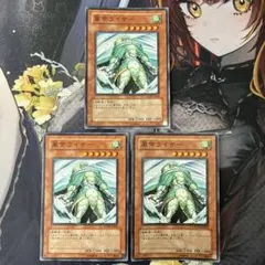 遊戯王 風帝ライザー スーパー FOTB 3枚