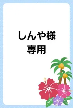 その他】Lycee 青春フラジャイル リズ カードスリーブ 3点セット 60枚