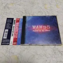 PIECE OF MY SOUL WANDS 帯付き