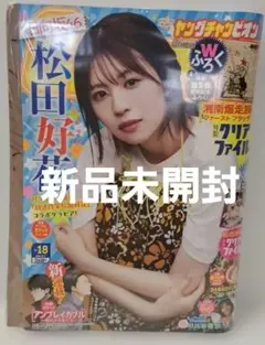 (新品)ヤングチャンピオン　2025.9.9