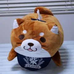 忠犬もちしば ぬいぐるみティッシュケース（おかか）