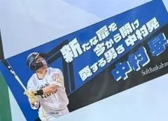 福岡ソフトバンクホークス 若鷹ガチャ ハニーズ mizuka フェイスタオル