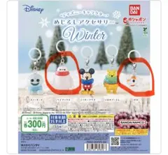 ディズニー　めじるしアクセサリーwinter