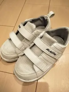 Item thumbnail for item 0a3f6d22-7866-41ec-adc6-4741fe29fccc