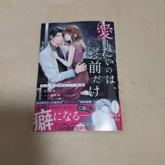 愛したいのは、お前だけ～天才外科医の甘い策略～【財閥御曹司シリーズ】 1