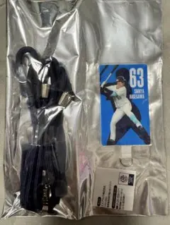 長谷川信哉 埼玉西武ライオンズ モバガチャ アクスタ 缶バッジ ステッカー 長谷川信哉 埼玉西武ライオンズ モバガチャ アクスタ 缶バッジ
