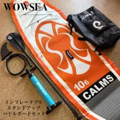 美品】MANIAC SURFBOARD 9'4ft ロングボード - メルカリ