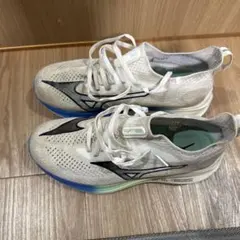 Mizuno NEO ZEN 26.5cm