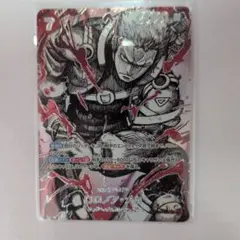 ワンピースカード 世界最強の戦士 ゾロ SR SPC 覇王色