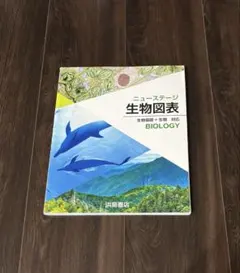 Item thumbnail for item 5c32f5c1-33b9-48df-97f8-2e70be6d2558