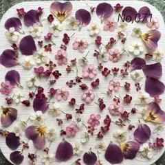 No,071 特小小花ミックス　ドライフラワー花材