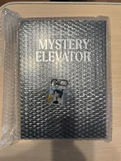 チャウヌ　MYSTERY ELEVATOR DVD 未開封 新品未開封】チャウヌJTOM Mystery Elevator DVD チャウヌ