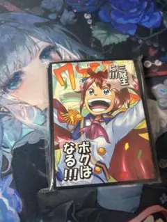 トウカイテイオー　スリーブ