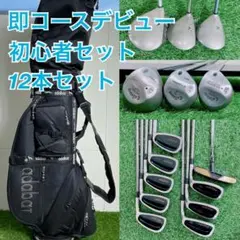 即コースデビュー ゴルフクラブ フルセット キャロウェイ入り メンズ