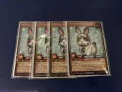 レスキューラビット