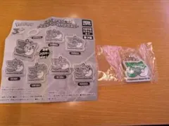 ポケモン30周年　メタルチャームマスコット　フシギダネ