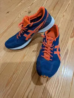 Item thumbnail for item 2d10173f-a516-4a2f-ab7e-23b7af875fda