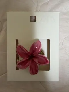 ZARA ハイビス ヘアアクセサリー