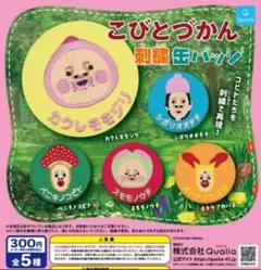 こびとづかん 刺繍缶バッジ 全5種セット クオリア